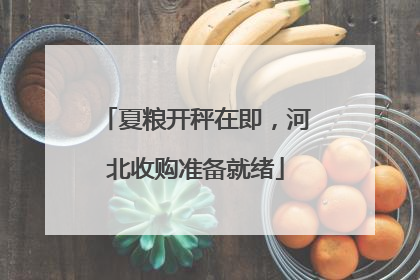 夏粮开秤在即，河北收购准备就绪