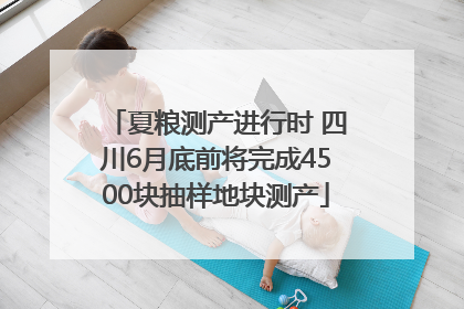 夏粮测产进行时 四川6月底前将完成4500块抽样地块测产
