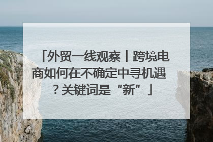 外贸一线观察丨跨境电商如何在不确定中寻机遇？关键词是“新”