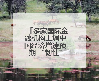 多家国际金融机构上调中国经济增速预期 “韧性”成关键词