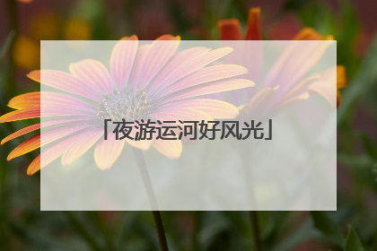 夜游运河好风光