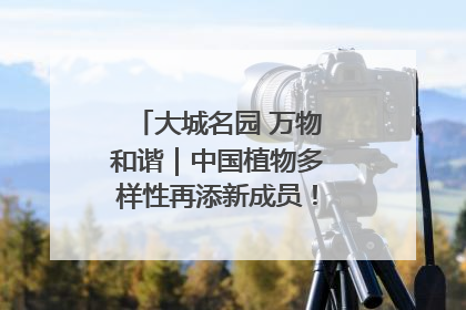大城名园 万物和谐｜中国植物多样性再添新成员！它只在西藏墨脱
