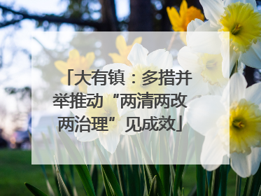 大有镇：多措并举推动“两清两改两治理”见成效