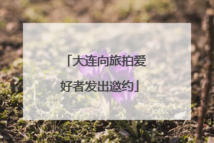 大连向旅拍爱好者发出邀约