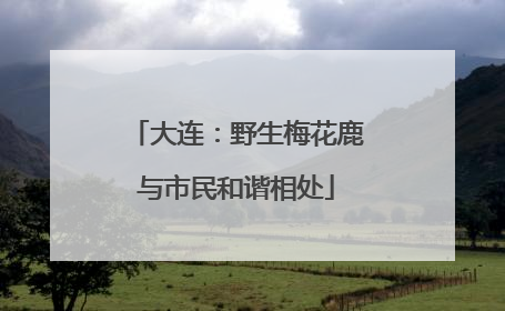 大连：野生梅花鹿与市民和谐相处