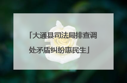 大通县司法局排查调处矛盾纠纷惠民生