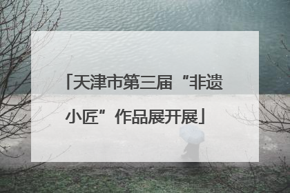 天津市第三届“非遗小匠”作品展开展
