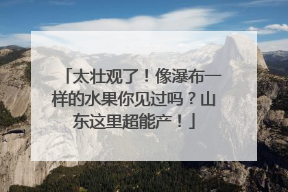 太壮观了！像瀑布一样的水果你见过吗？山东这里超能产！
