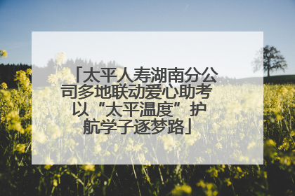 太平人寿湖南分公司多地联动爱心助考 以“太平温度”护航学子逐梦路