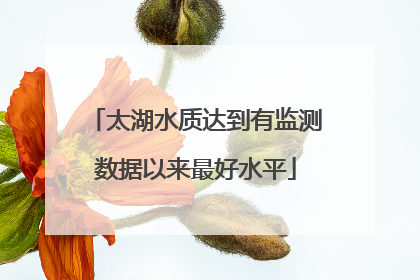 太湖水质达到有监测数据以来最好水平