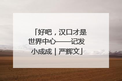 好吧，汉口才是世界中心——记发小成成｜严辉文