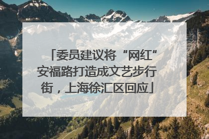 委员建议将“网红”安福路打造成文艺步行街，上海徐汇区回应