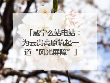 威宁么站电站：为云贵高原筑起一道“风光屏障”
