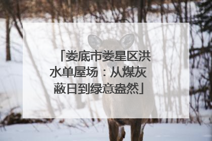 娄底市娄星区洪水单屋场：从煤灰蔽日到绿意盎然