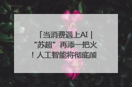 当消费遇上AI｜“苏超”再添一把火！人工智能将彻底颠覆绿茵场？