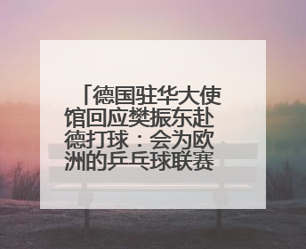德国驻华大使馆回应樊振东赴德打球：会为欧洲的乒乓球联赛带来新的光彩