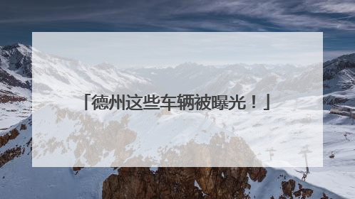 德州这些车辆被曝光！
