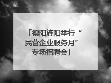 德阳旌阳举行“民营企业服务月”专场招聘会