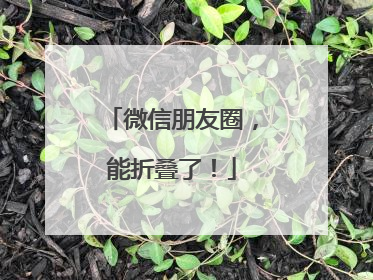 微信朋友圈，能折叠了！