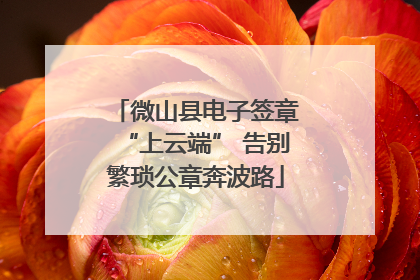 微山县电子签章“上云端” 告别繁琐公章奔波路