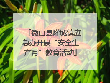 微山县驩城镇应急办开展“安全生产月”教育活动
