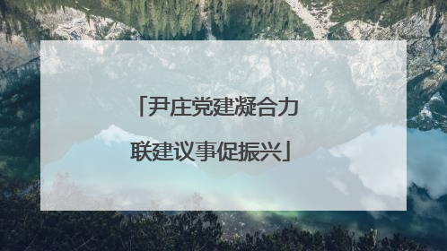 尹庄党建凝合力 联建议事促振兴