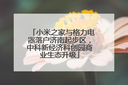 小米之家与格力电器落户济南起步区，中科新经济科创园商业生态升级