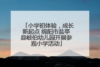 小学初体验，成长新起点 绵阳市盐亭县岐伯幼儿园开展参观小学活动