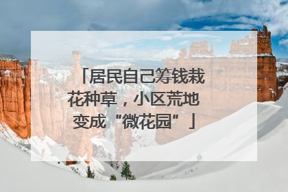 居民自己筹钱栽花种草，小区荒地变成“微花园”