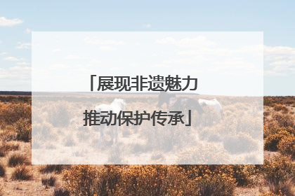 展现非遗魅力 推动保护传承