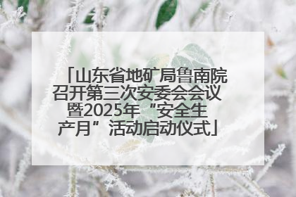 山东省地矿局鲁南院召开第三次安委会会议暨2025年“安全生产月”活动启动仪式