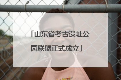 山东省考古遗址公园联盟正式成立