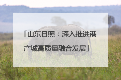 山东日照：深入推进港产城高质量融合发展