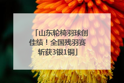 山东轮椅羽球创佳绩！全国残羽赛斩获3银1铜