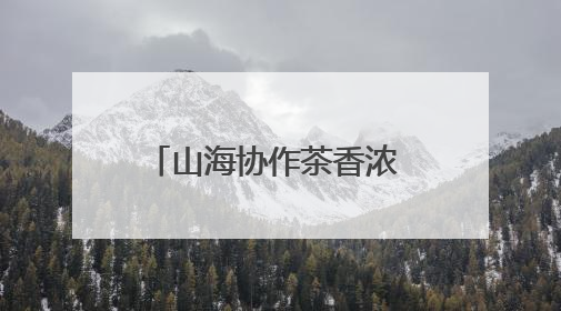山海协作茶香浓 四川广元携“茶礼”赴杭续写共富新篇