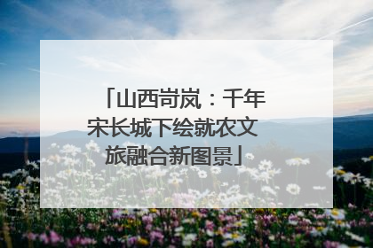 山西岢岚：千年宋长城下绘就农文旅融合新图景