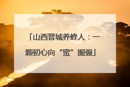 山西晋城养蜂人：一颗初心向“蜜”图强