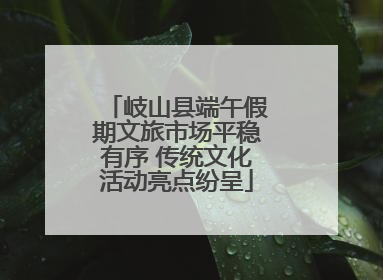 岐山县端午假期文旅市场平稳有序 传统文化活动亮点纷呈