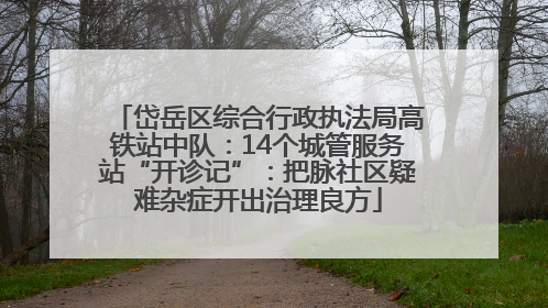 岱岳区综合行政执法局高铁站中队：14个城管服务站“开诊记”：把脉社区疑难杂症开出治理良方