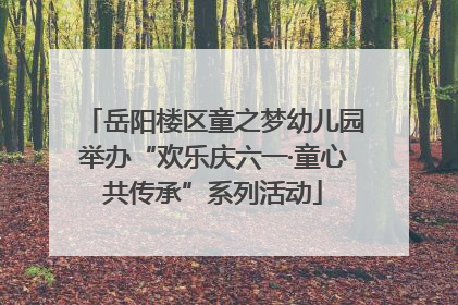 岳阳楼区童之梦幼儿园举办“欢乐庆六一·童心共传承”系列活动