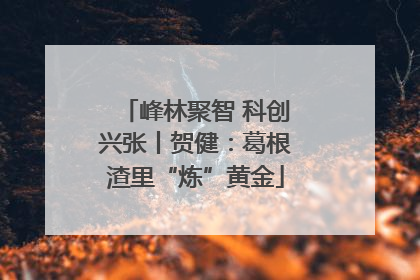 峰林聚智 科创兴张丨贺健：葛根渣里“炼”黄金