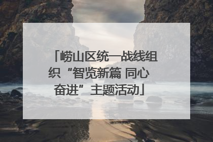 崂山区统一战线组织“智览新篇 同心奋进”主题活动