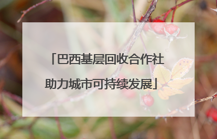 巴西基层回收合作社助力城市可持续发展