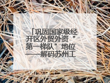巩固国家级经开区外贸外资“第一梯队”地位——解码苏州工业园区样本