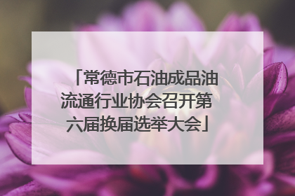 常德市石油成品油流通行业协会召开第六届换届选举大会
