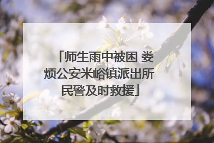 师生雨中被困 娄烦公安米峪镇派出所民警及时救援