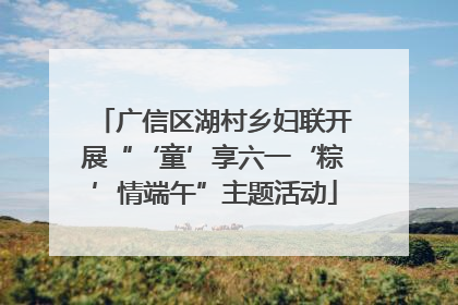 广信区湖村乡妇联开展“‘童’享六一‘粽’情端午”主题活动