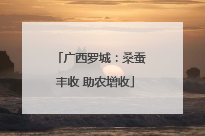 广西罗城：桑蚕丰收 助农增收