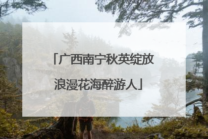 广西南宁秋英绽放 浪漫花海醉游人
