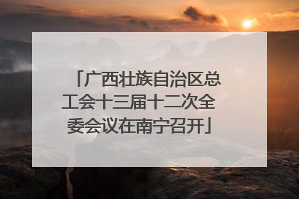 广西壮族自治区总工会十三届十二次全委会议在南宁召开